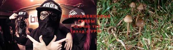 гашик Краснотурьинск