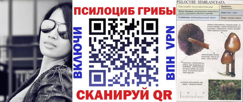 blacksprut онион  Арзамас  Псилоцибиновые грибы MAGIC MUSHROOMS  где найти  
